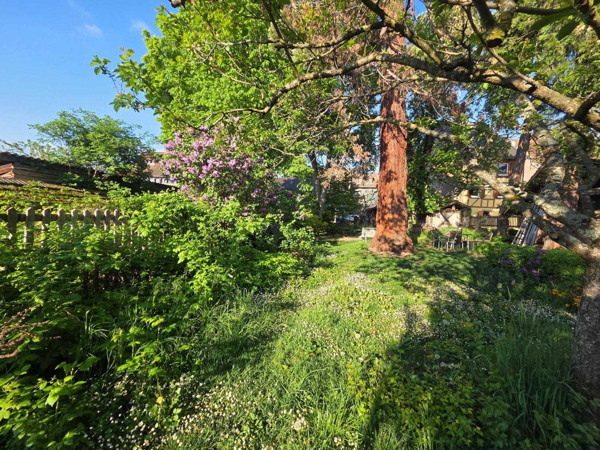Le Temps Des Cigognes Villa Barr Exteriör bild