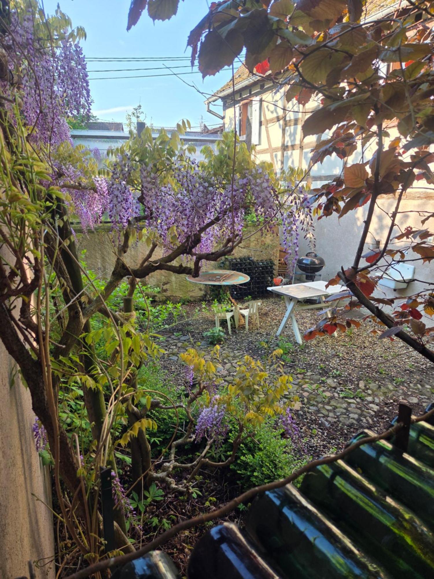 Le Temps Des Cigognes Villa Barr Exteriör bild