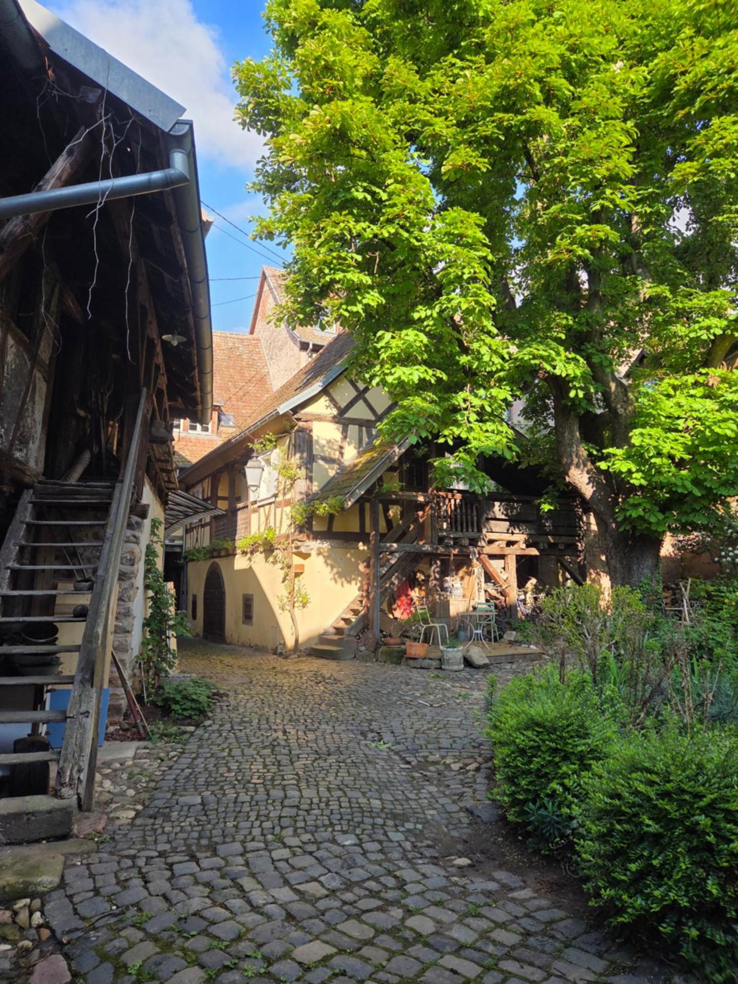 Le Temps Des Cigognes Villa Barr Exteriör bild