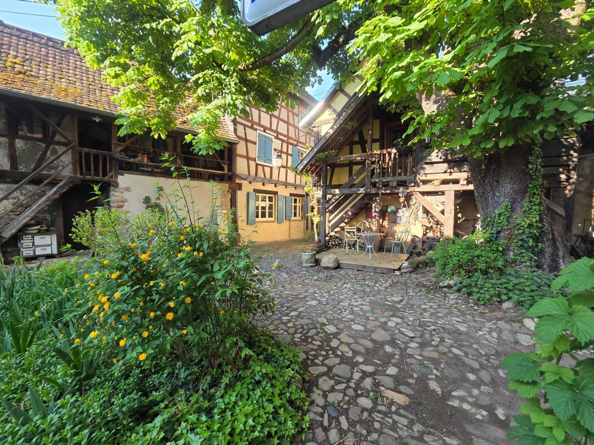 Le Temps Des Cigognes Villa Barr Exteriör bild