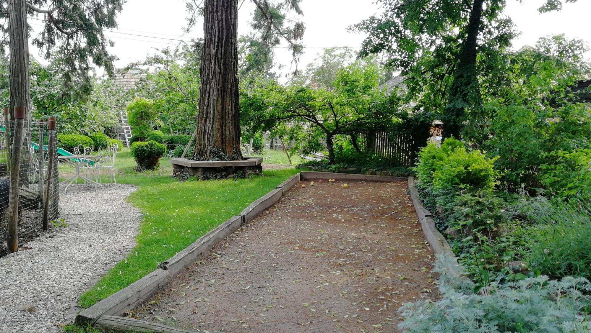 Le Temps Des Cigognes Villa Barr Exteriör bild